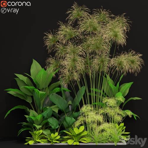 '3dsky Pro - Plants collection 241'