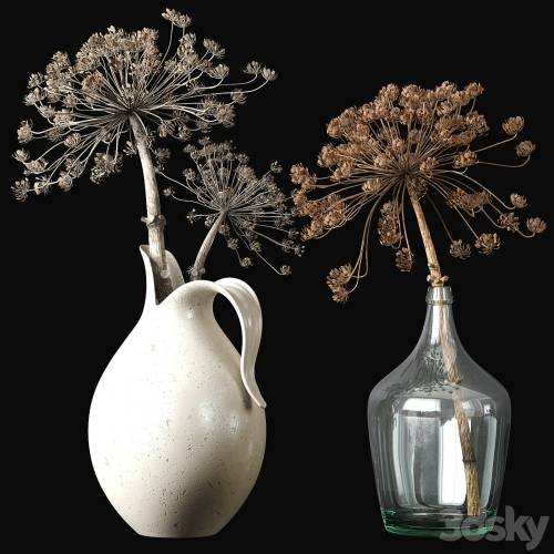 '3dsky Pro - Old heracleum 2' '3dsky Pro - Old heracleum 2'