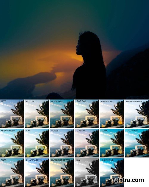 Polina Washington - PW VIDEO LUTS