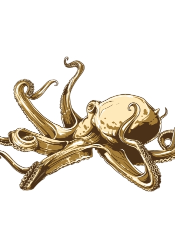 T-Shirt Design Elements #27, 25xEPS