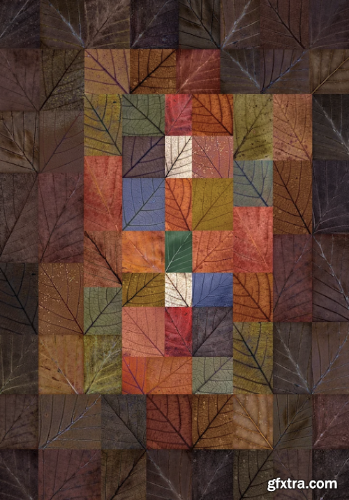 Tony North - Abstracts - Photography Webinar