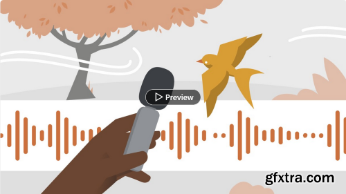 Linkedin - Learning Sound Design for Video Production
