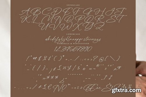 CreativeMarket - Radiance Berlines Script Font