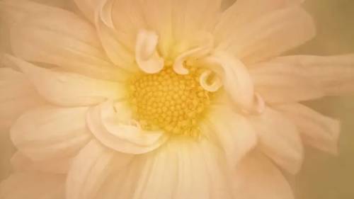 'CreativeLive - Creating Painterly Photographs'