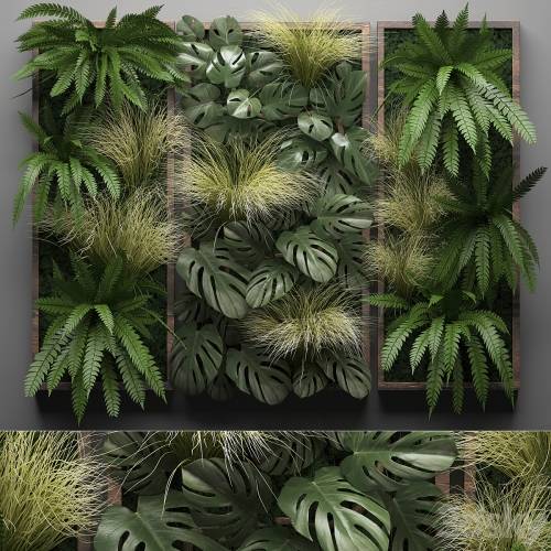 '3dsky Pro - Vertical garden 28. Phytowall, picture, grass, fern, monstera, wall decor, phytomodule, vertical garden' '3dsky Pro - Vertical garden 28. Phytowall, picture, grass, fern, monstera, wall decor, phytomodule, vertical garden'