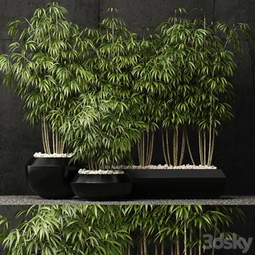 '3dsky Pro - Plants collection 66'
