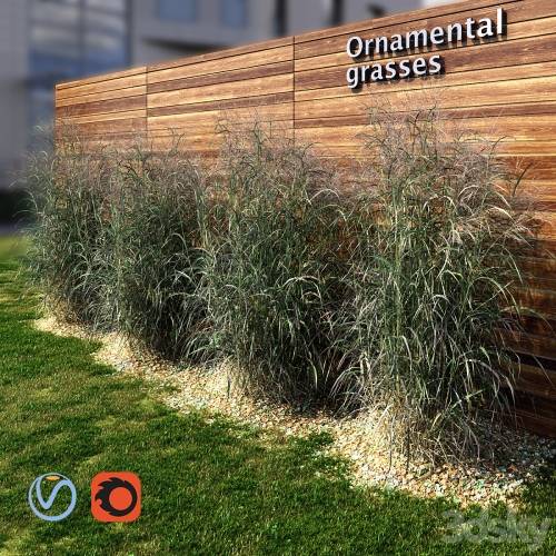 '3dsky Pro - Ornamental grass red-green'