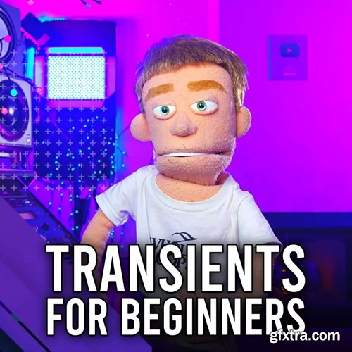 MyMixLab Reid Stefan BASIC OF TRANSIENT FOR BEGINNERS
