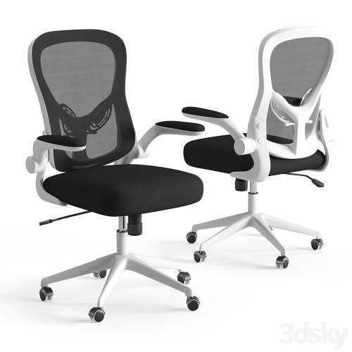 '3dsky Pro - Xiaomi HBADA Ergonomic Double-Waisted Computer Chair HDNY163WM'
