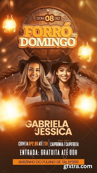 Designi - Story Flyer Forró De Domingo Social Media PSD Editável