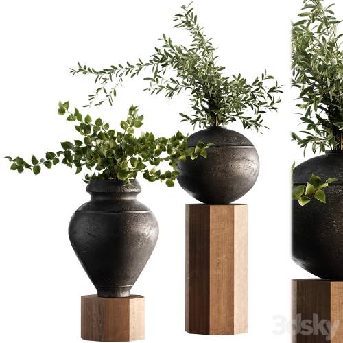 '3dsky Pro - Indoor Plant Set 65'