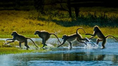 'CreativeLive - Innovative Techniques for Outdoor Photography'