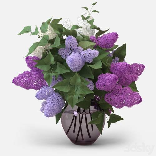 '3dsky Pro - Lilac Bouquet'