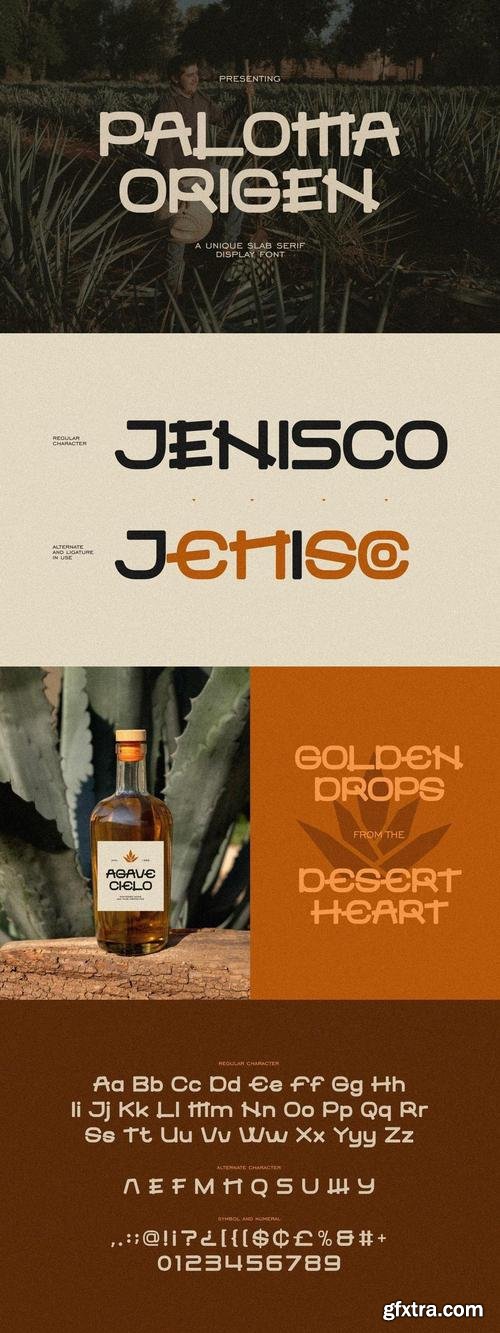 Paloma Origen - Unique Slab Serif Font