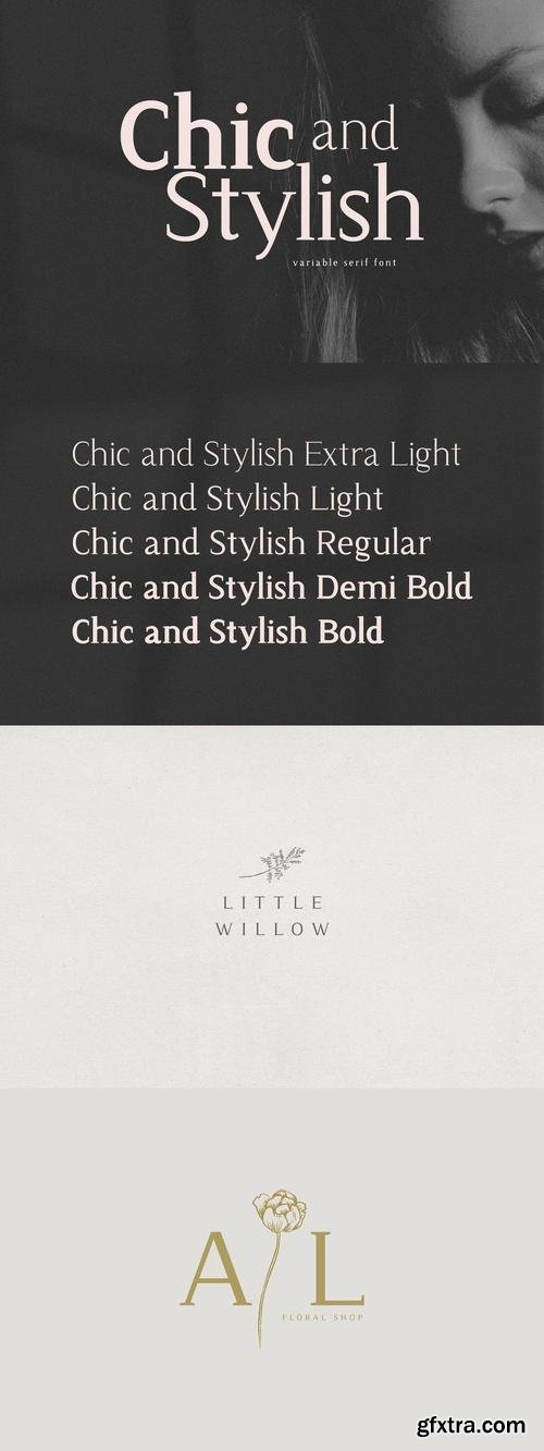 Chic and Stylish Variable Serif Font