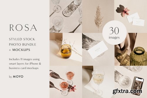 Creativemarket - Rosa - Stock Photo & Mockup Bundle - 3539424