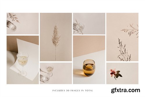 Creativemarket - Rosa - Stock Photo & Mockup Bundle - 3539424