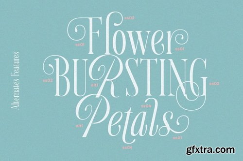 CreativeMarket - Aurora Moonlight Dreamy Serif Font