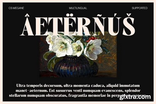 CreativeMarket - CS Megane – Bold Font