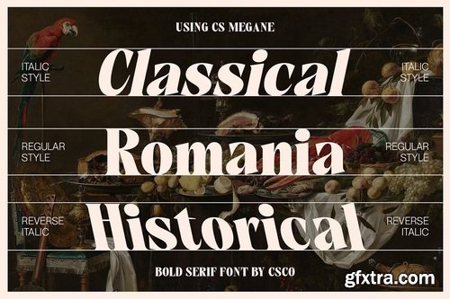 CreativeMarket - CS Megane – Bold Font