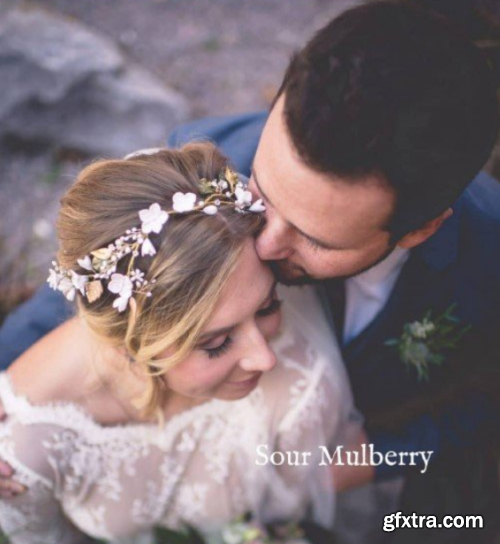 Twig & Olive Photography - Film Love V1