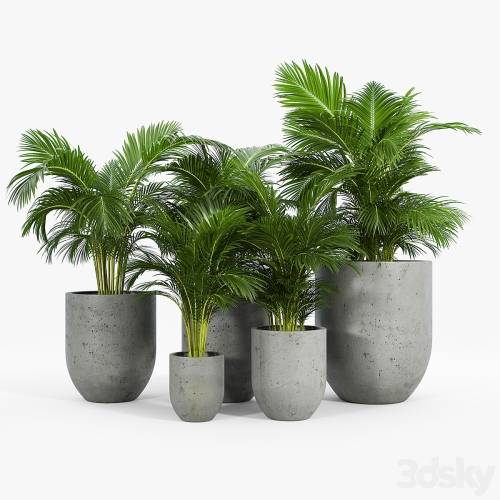 '3dsky Pro - Neo planter'