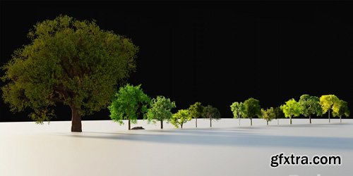 Gumroad - Grovescape - Forest Generator For Blender