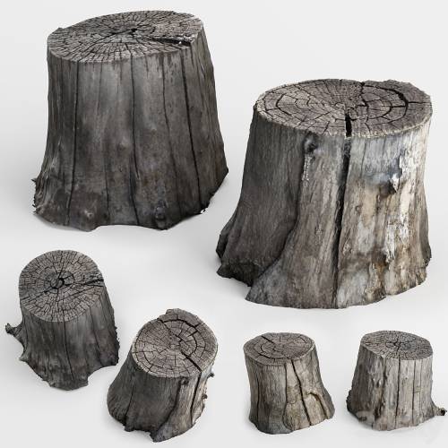 '3dsky Pro - photoscan of two stumps'
