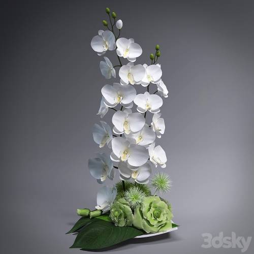 '3dsky Pro - Ikebana with orchids'