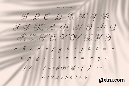 CreativeMarket - Bathsaida Calligraphy Script Font