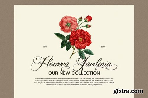 CreativeMarket - Bathsaida Calligraphy Script Font