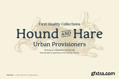 CreativeMarket - Northlake - A Rustic Serif Font
