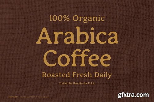 CreativeMarket - Northlake - A Rustic Serif Font