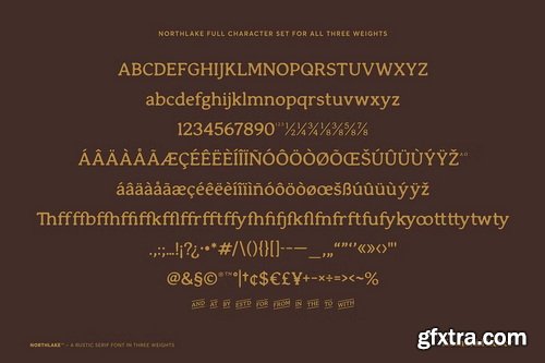 CreativeMarket - Northlake - A Rustic Serif Font