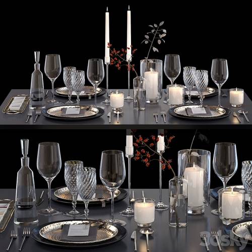 '3dsky Pro - Serving with rose hips'