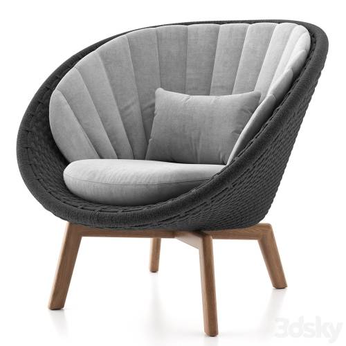 '3dsky Pro - Peacock Lounge Chair'
