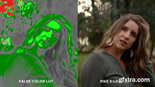 Dslrvideoshooter - Sony S-Log3 Pike LUT Pack