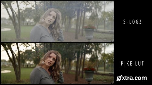 Dslrvideoshooter - Sony S-Log3 Pike LUT Pack