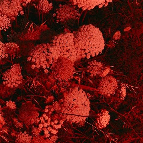 'Audiio - Anything For You (Instrumental) - Heather Evans'