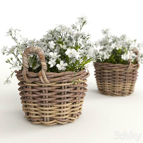 '3dsky Pro - Flower baskets'