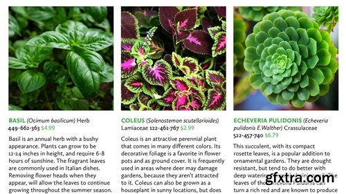 Linkedin - InDesign: Advanced Styles