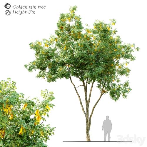 '3dsky Pro - Golden rain tree_2'