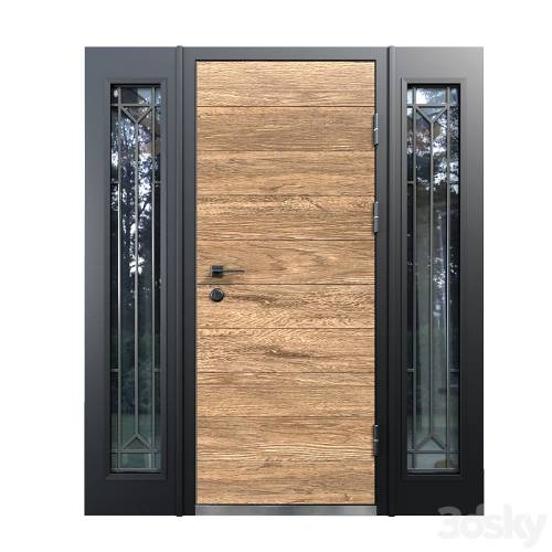 '3dsky Pro - Front door 17'