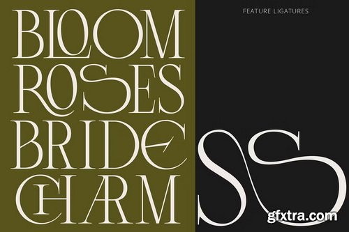 CreativeMarket - Lunoriels – Classic Serif Font