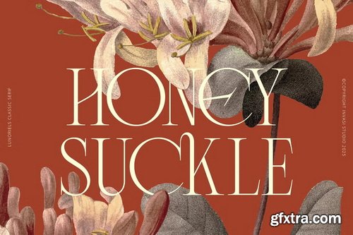 CreativeMarket - Lunoriels – Classic Serif Font