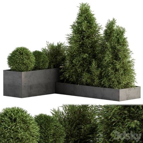 '3dsky Pro - Outdoor Plant Set 231 - Plant Box with Tree'