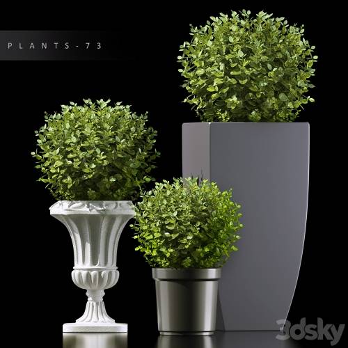 '3dsky Pro - PLANTS 73'