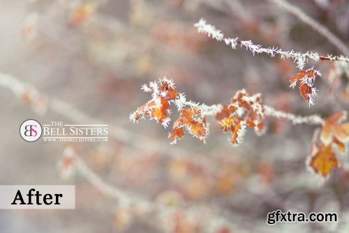 The Bell Sisters Whipped Cream Lightroom Presets