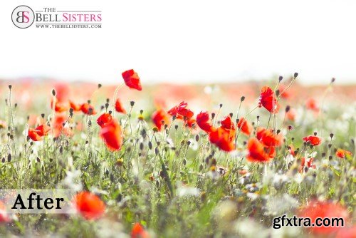 The Bell Sisters Whipped Cream Lightroom Presets