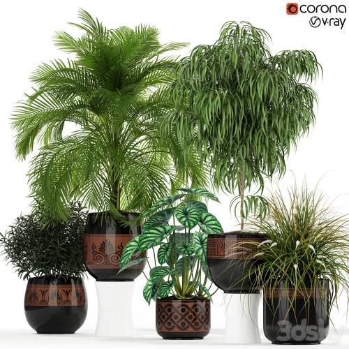 '3dsky Pro - Plants collection 182'